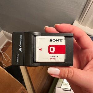 Sony NP-BG1 Lithium Ion Battery with Powerextra Charger